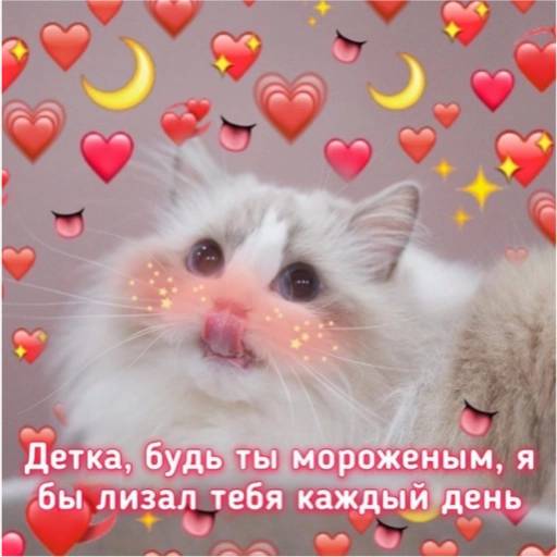 Набор стикеров котьки и милостьи для WhatsApp 1