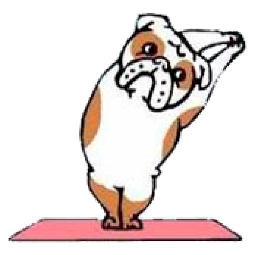 Набор стикеров Perros & Yoga для WhatsApp 4