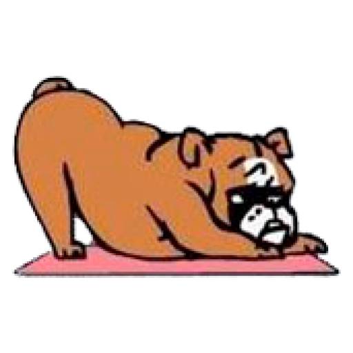 Набор стикеров Perros & Yoga для WhatsApp 5