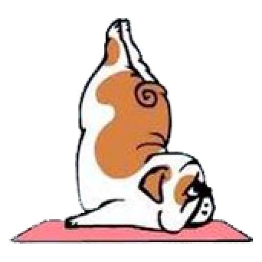 Набор стикеров Perros & Yoga для WhatsApp 6