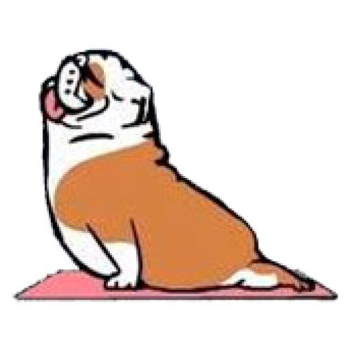 Набор стикеров Perros & Yoga для WhatsApp 9