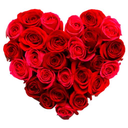 Набор стикеров San Valentin 2020 для WhatsApp 1