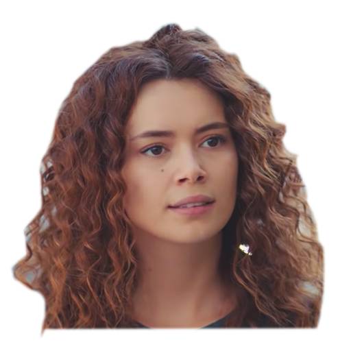 Набор стикеров Şirin #1 для WhatsApp 13