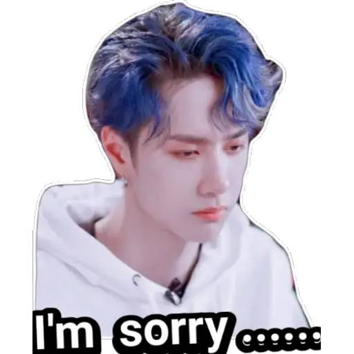 Набор стикеров WangYibo sticky pack_1 для WhatsApp 26