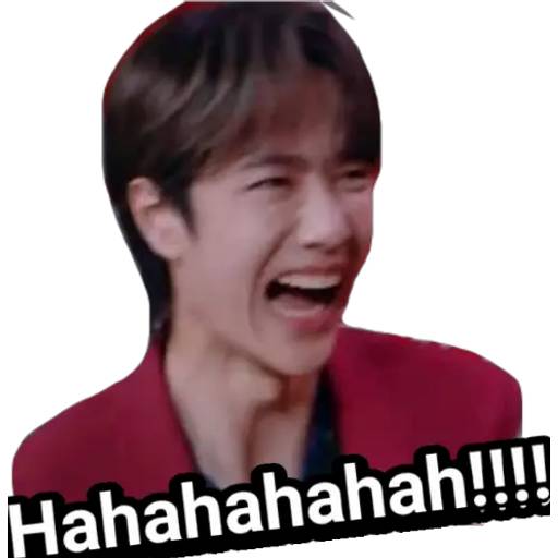 Набор стикеров WangYibo sticky pack_1 для WhatsApp 27