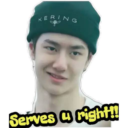 Набор стикеров WangYibo sticky pack_1 для WhatsApp 28