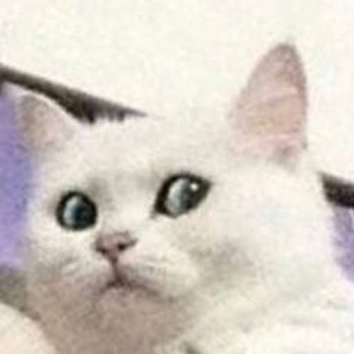 Набор стикеров cursed animals для WhatsApp 10