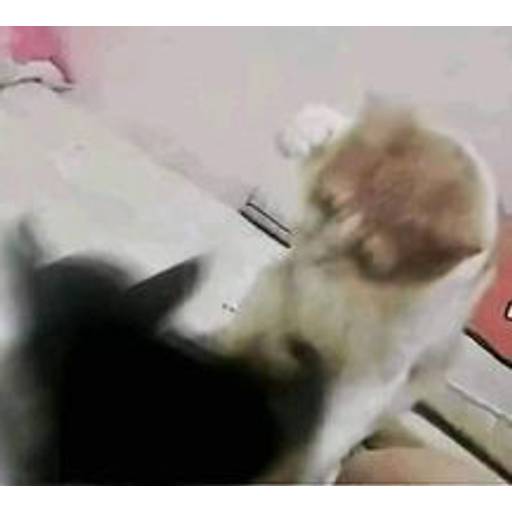 Набор стикеров cursed animals для WhatsApp 15