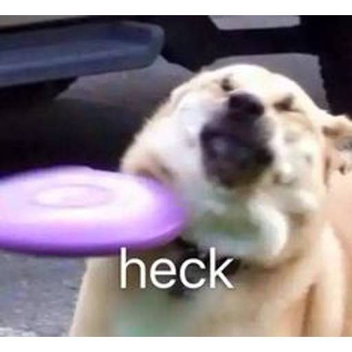 Набор стикеров cursed animals для WhatsApp 17