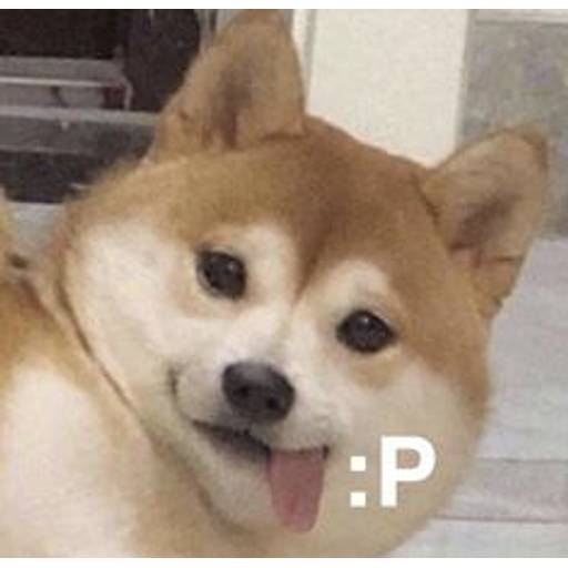 Набор стикеров cursed animals для WhatsApp 2