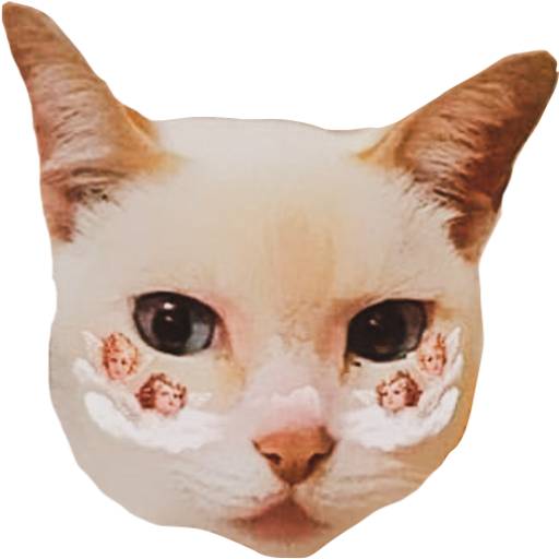 Набор стикеров Digalo con gatos 22 для WhatsApp 1