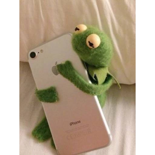 Набор стикеров Kermit для WhatsApp 13