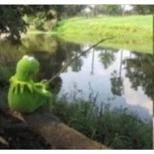 Набор стикеров Kermit для WhatsApp 20