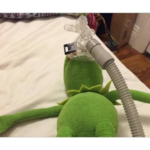 Набор стикеров Kermit для WhatsApp 27