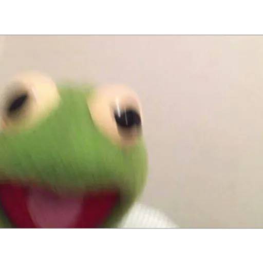 Набор стикеров Kermit для WhatsApp 29