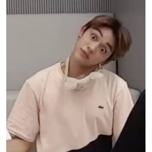 Набор стикеров kpop 0 для WhatsApp 12