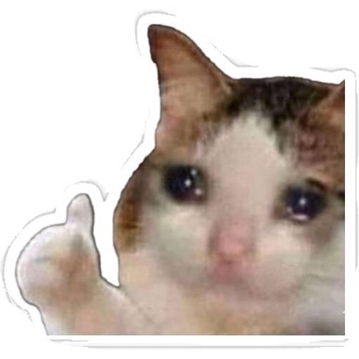 Набор стикеров Meme Compilation для WhatsApp 1