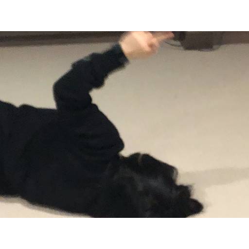 Набор стикеров MEMES 1 для WhatsApp 29