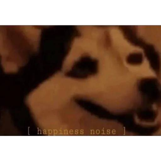 Набор стикеров memes overload для WhatsApp 1