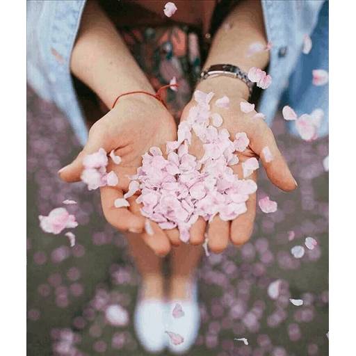 Набор стикеров Best Flowers 2 для WhatsApp 21