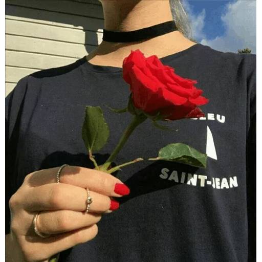 Набор стикеров Best Flowers 2 для WhatsApp 24