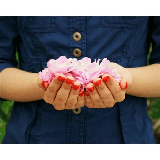 Набор стикеров Best Flowers 2 для WhatsApp 29