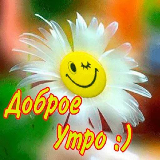 Набор стикеров Доброе утро 3 для WhatsApp 22