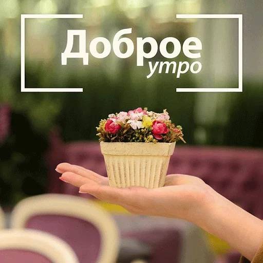 Набор стикеров Доброе утро 3 для WhatsApp 3