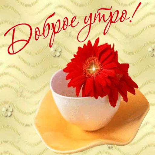 Набор стикеров Доброе утро 3 для WhatsApp 4