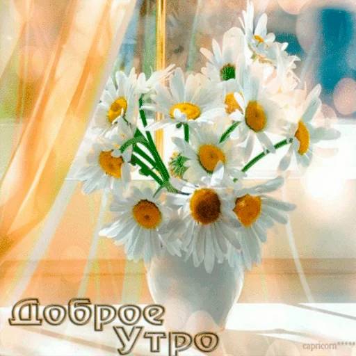 Набор стикеров Доброе утро 3 для WhatsApp 7