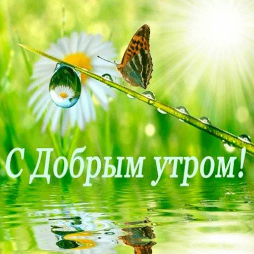 Набор стикеров Доброе утро 3 для WhatsApp 8