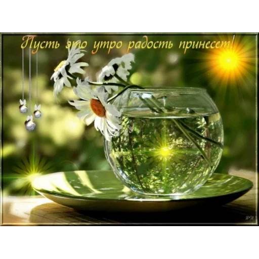 Набор стикеров Доброе утро 4 для WhatsApp 20