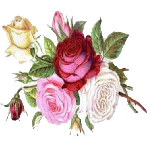 Набор стикеров Flowers 7 для WhatsApp 20