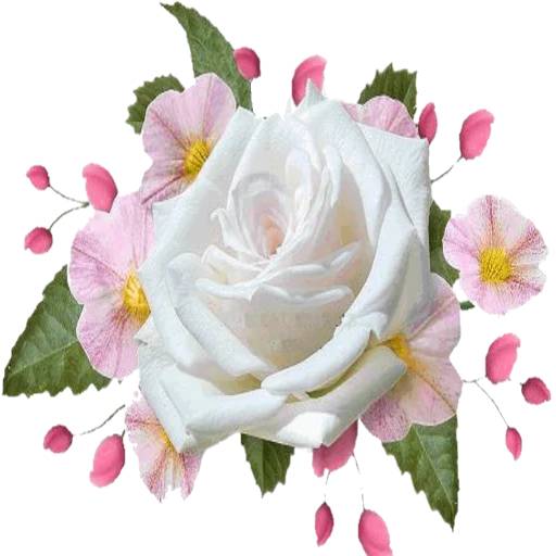 Набор стикеров Flowers 7 для WhatsApp 22