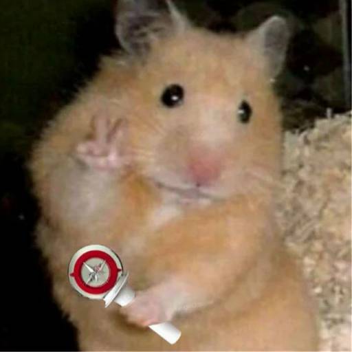 Набор стикеров jisung для WhatsApp 23