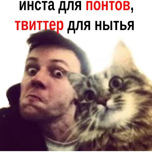 Набор стикеров Oxxxymiron №5 для WhatsApp 19