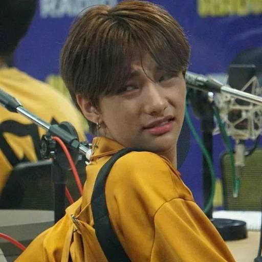 Набор стикеров Stray Kids №16 для WhatsApp 23