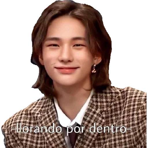 Набор стикеров Stray Kids №20 для WhatsApp 27