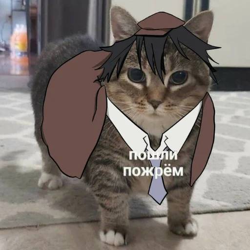 Набор стикеров Великий из Бродячих Псов №1 для WhatsApp 21