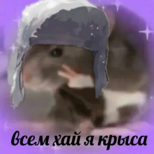 Набор стикеров Великий из Бродячих Псов №1 для WhatsApp 27