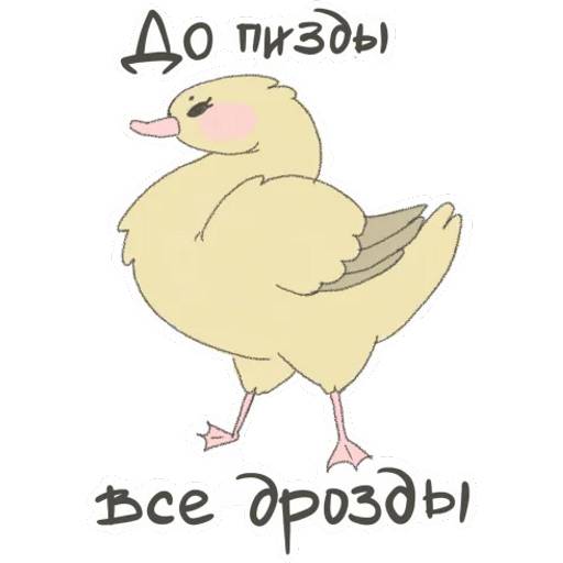 Набор стикеров Злые, но милые для WhatsApp 1