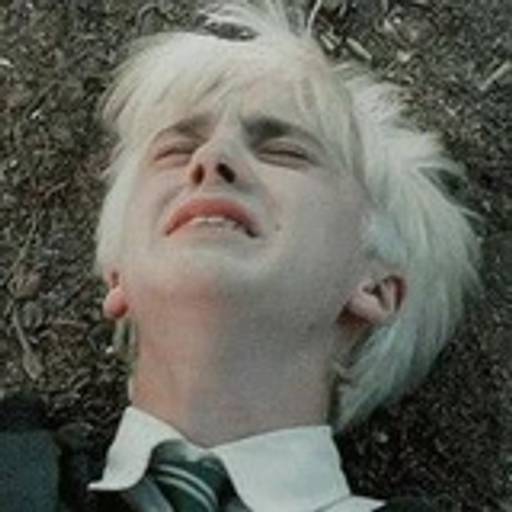 Набор стикеров Draco malfoy для WhatsApp 5