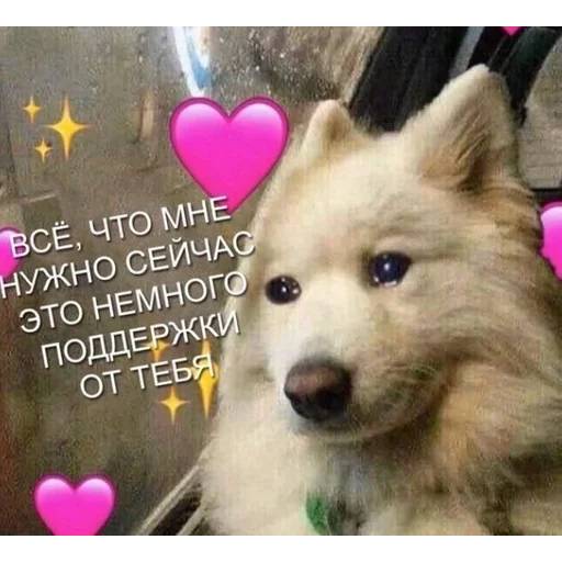 Набор стикеров грусть №9 для WhatsApp 22