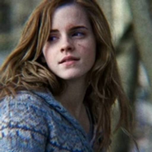 Набор стикеров Hermione Granger для WhatsApp 26