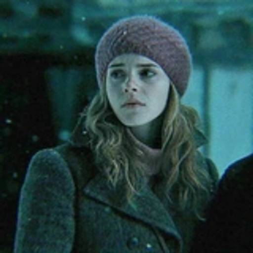 Набор стикеров Hermione Granger для WhatsApp 27