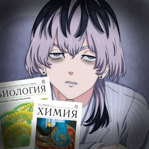 Набор стикеров Токийские мстители №27 для WhatsApp 29