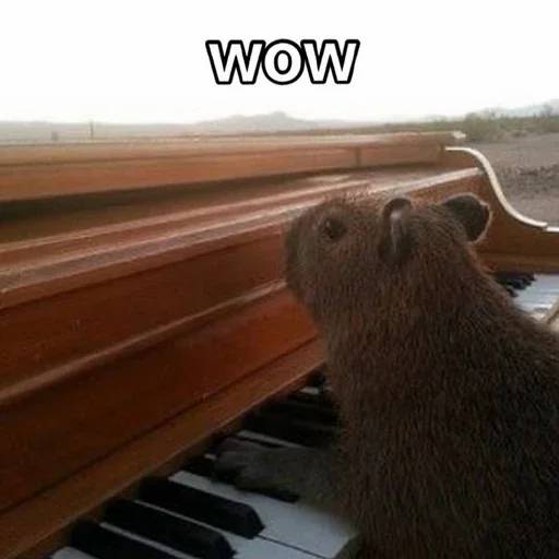 Набор стикеров Капибара №16 для WhatsApp 5