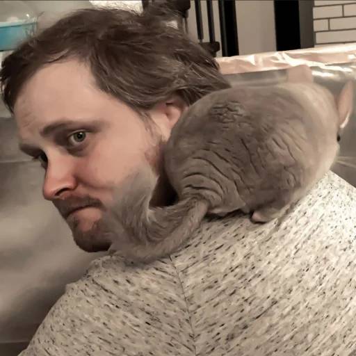 Набор стикеров Куплинов №23 для WhatsApp 14