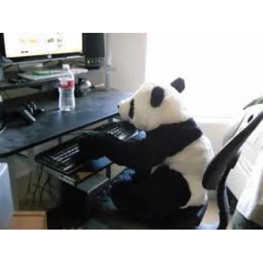 Набор стикеров с Пандой №6 для WhatsApp 27