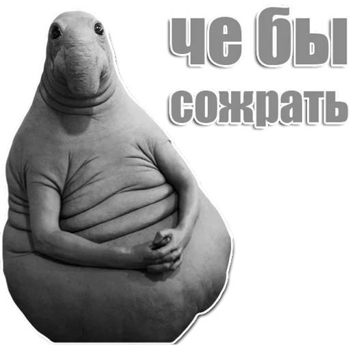 Набор стикеров Ждун №5 для WhatsApp 22